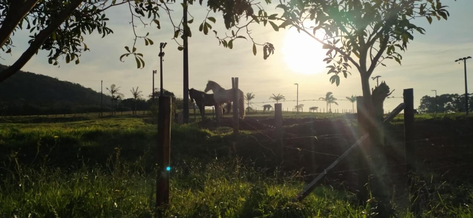 Сasa de vacaciones Casa Flora Pico Da Cruz Florianópolis